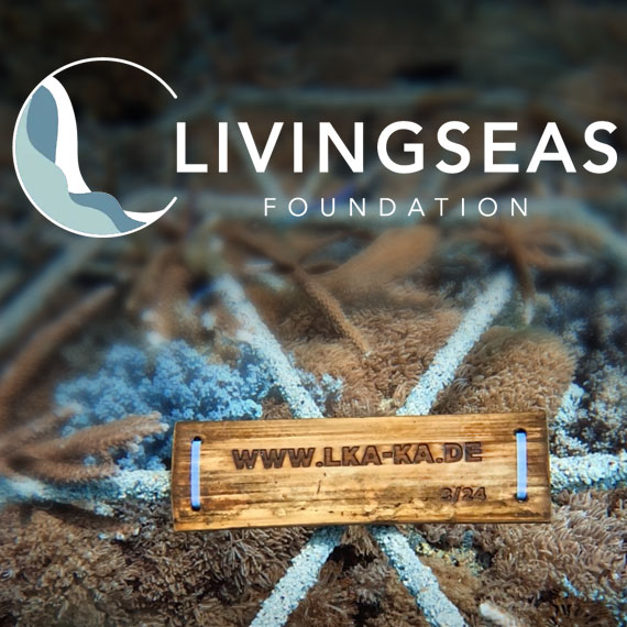 aktuell: Livingseas Foundation e.V.